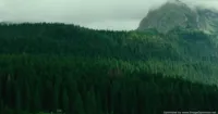 The Forest: Đến với khu rừng nổi tiếng mang tên Khu Rừng Tự Sát