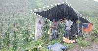 Đoàn làm phim của Thạch Thảo không ngại leo đồi, vượt suối dưới mưa bão để mang đến những cảnh quay mãn nhãn nhất cho khán giả