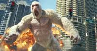 Rampage - Sự lựa chọn hoàn hảo dành cho những người yêu động vật