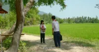 Muôn màu cảm xúc trong Tôi Thấy Hoa Vàng Trên Cỏ Xanh