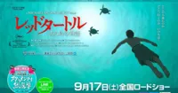 The Red Turtle không được đón nhận tốt tại thị trường Nhật Bản