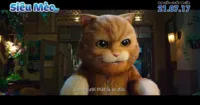 [REVIEW] Siêu Mèo - Vừa đủ cho một câu chuyện nhẹ nhàng về tình gia đình