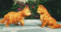 Phim hoạt hình về chú mèo Garfield đang được tiến hành
