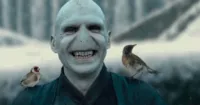 Đọc Harry Potter mà tập trung vào Harry là sai rồi