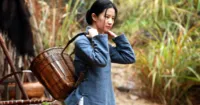 The Chinese Widow - có sự tham gia của Emile Hirsch và Lưu Diệc Phi được chiếu tại Mỹ