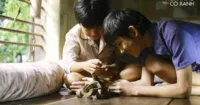 Tôi thấy mình đã phí thời gian vì Tôi Thấy Hoa Vàng Trên Cỏ Xanh