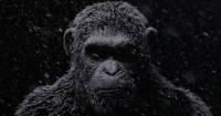 Thông tin chi tiết về trailer War for the Planet of the Apes tại NYCC