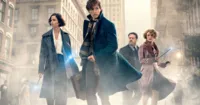Kịch bản Fantastic Beasts 2 đã được hoàn thành