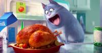 Secret Life of Pets đã có kế hoạch cho phần 2 vào năm 2018