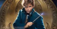 Newt Scamander chỉ là nhân vật phụ trong Fantastic Beasts?
