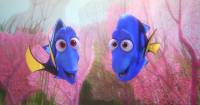 5 sự thật không phải ai cũng biết về Finding Dory