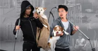 [REVIEW] Kẻ Trộm Chó - Bộ phim ẩn chứa nhiều thông điệp ý nghĩa