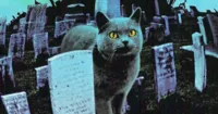 Hé lộ ảnh hậu trường đầu tiên của Pet Sematary remake