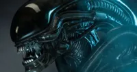 Vẻ đẹp đáng sợ của Xenomorph