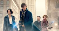 Fantastic Beasts and Where to Find Them 2 đang tìm kiếm nhân lực trẻ cho vai diễn tuổi teen của nhân vật chính