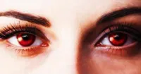 Breaking Dawn - Part II rục rịch xuất chiêu