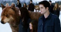 Những sao Hollywood là fan bự của Twilight