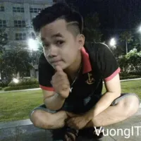vuongit1993