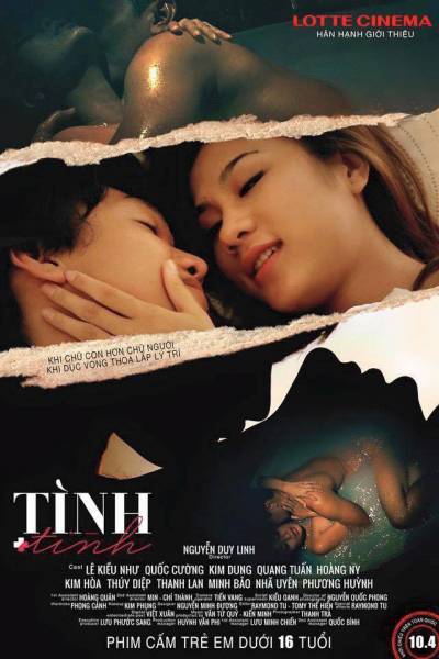 Tình + Tình